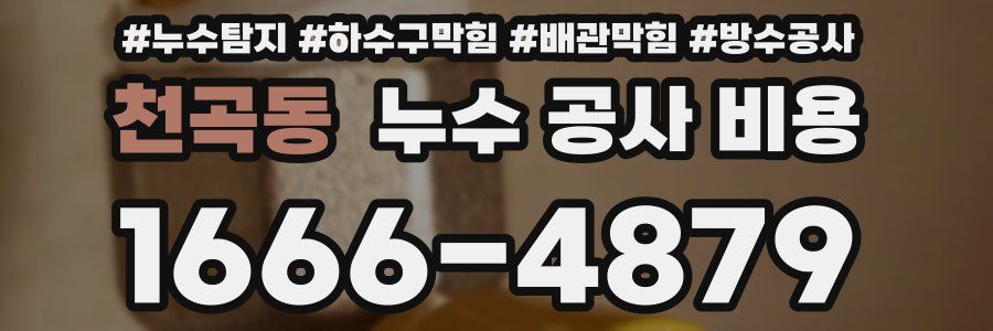 천곡동 누수 공사 비용