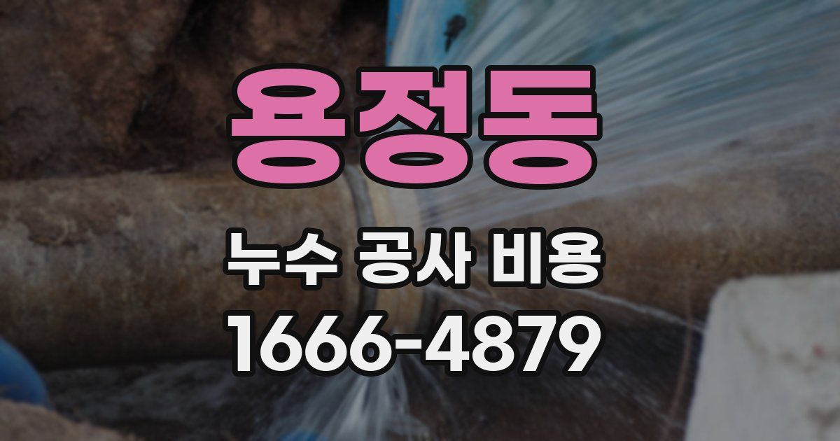 용정동 누수 공사 비용