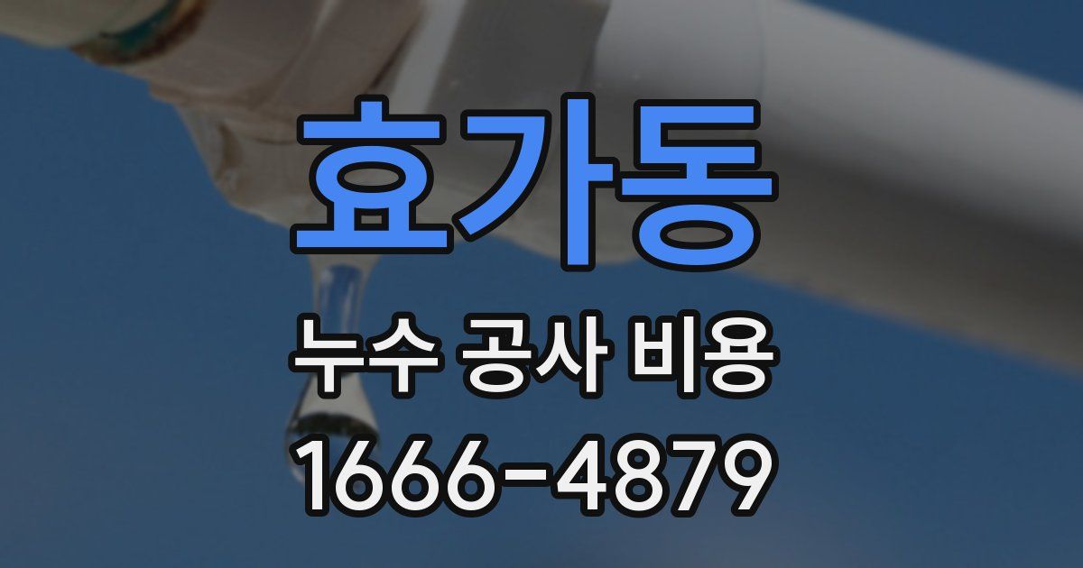 효가동 누수 공사 비용
