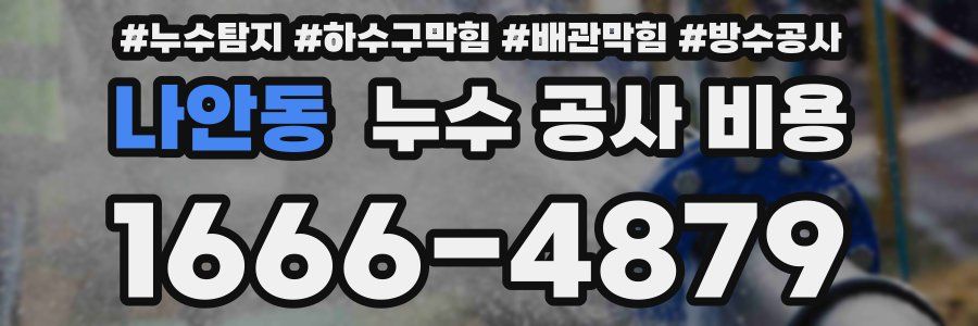 나안동 누수 공사 비용