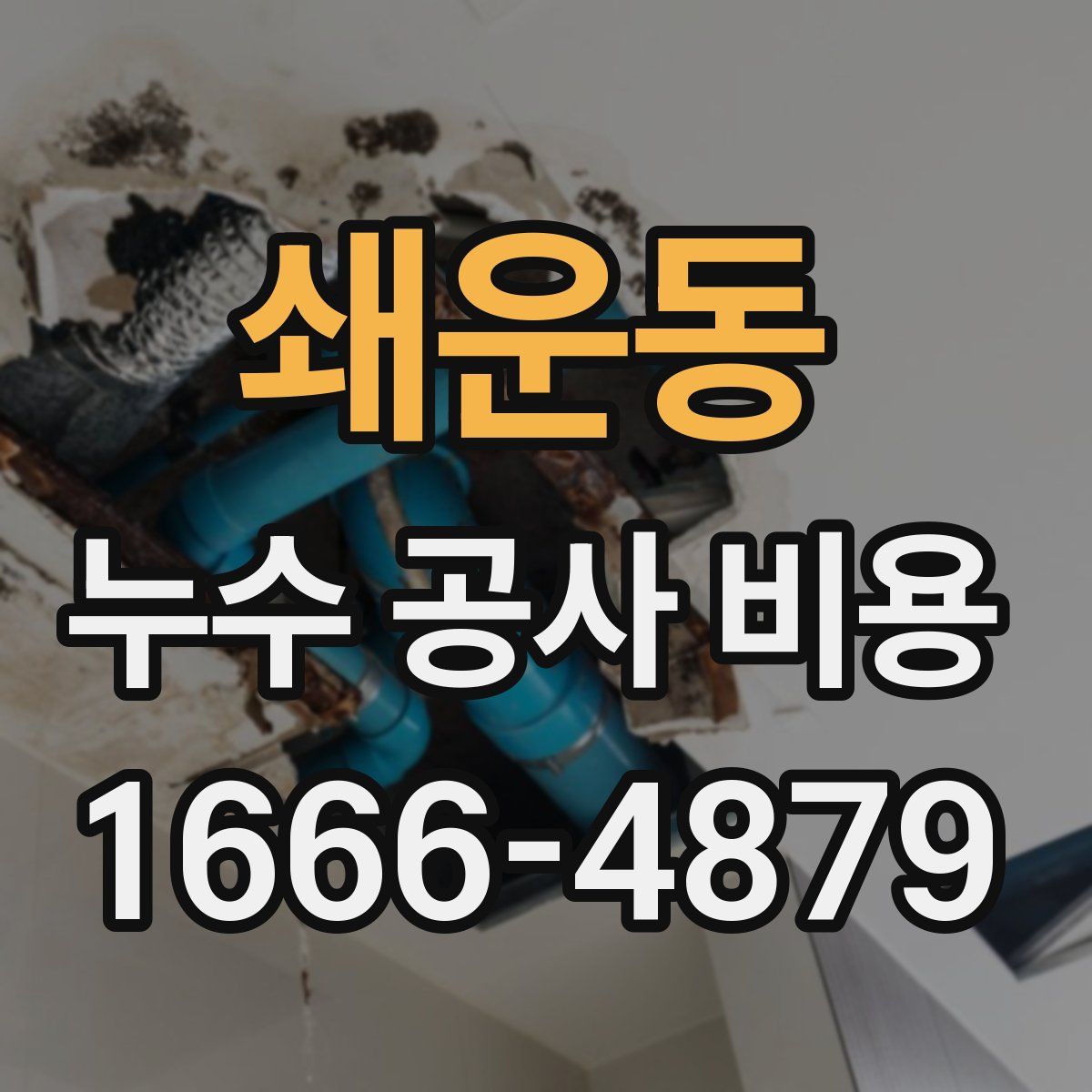 쇄운동 누수 공사 비용