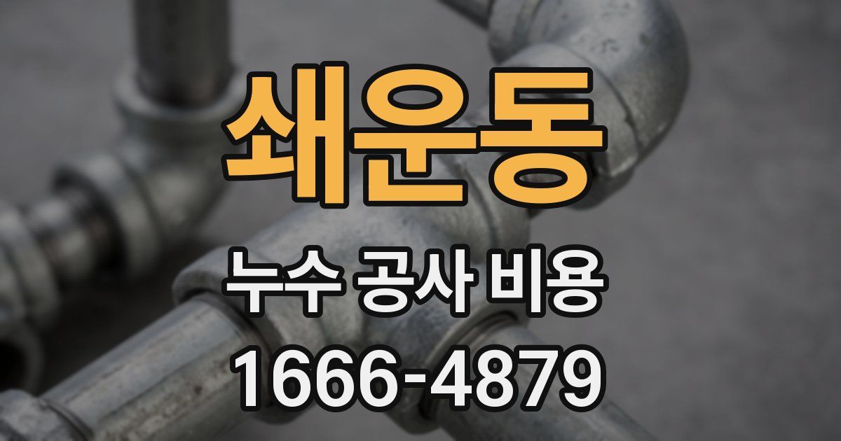 쇄운동 누수 공사 비용