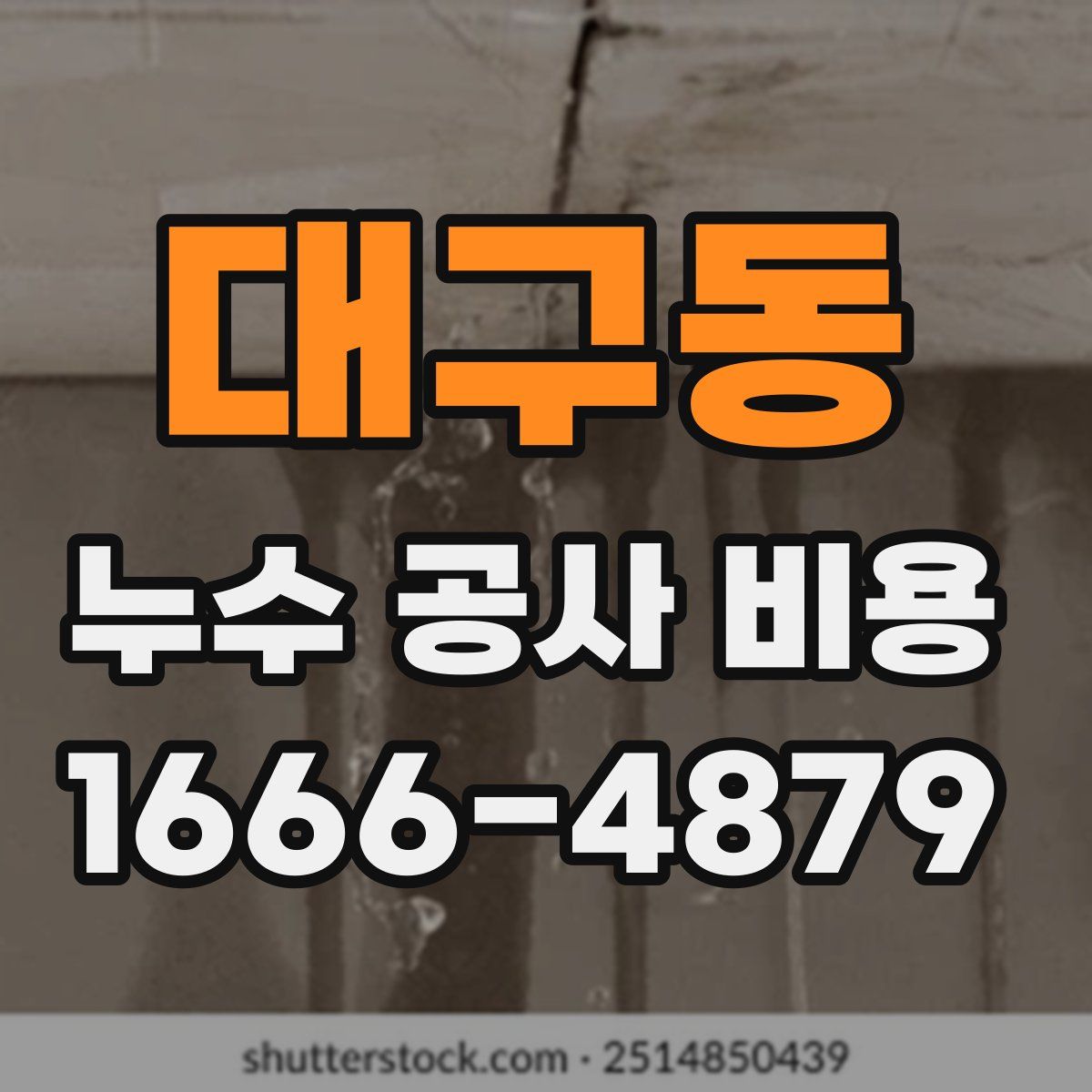 대구동 누수 공사 비용