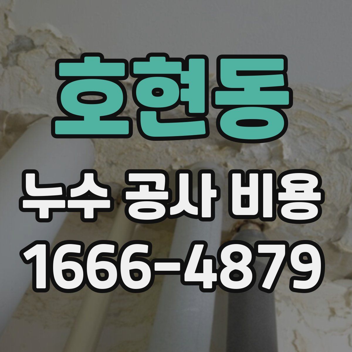 호현동 누수 공사 비용