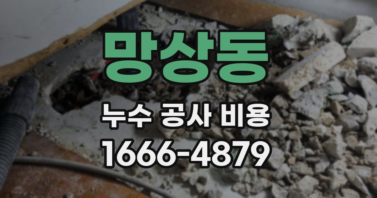망상동 누수 공사 비용