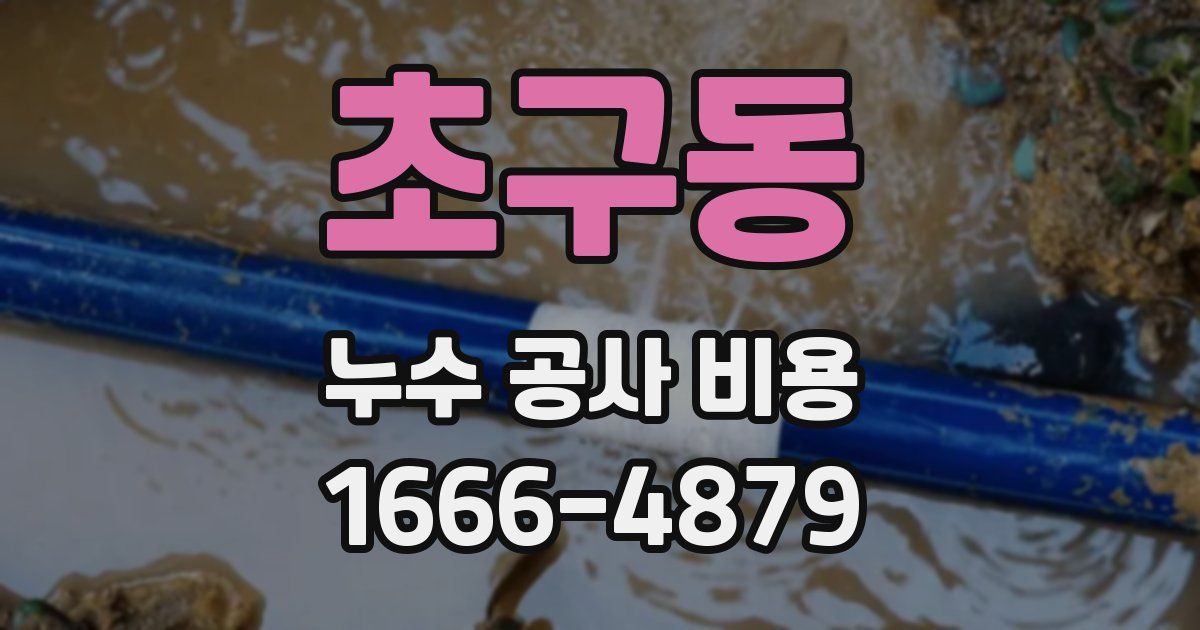 초구동 누수 공사 비용