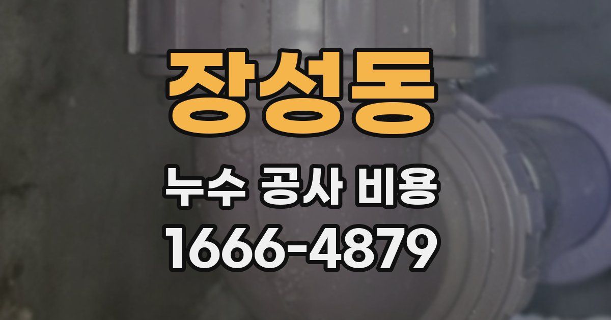 장성동 누수 공사 비용