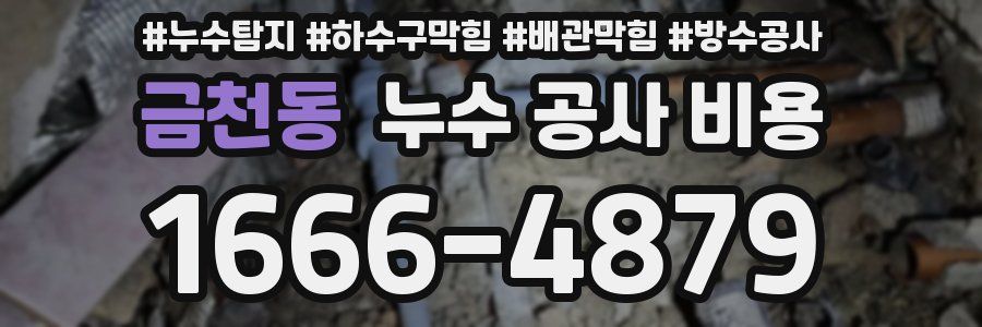 금천동 누수 공사 비용