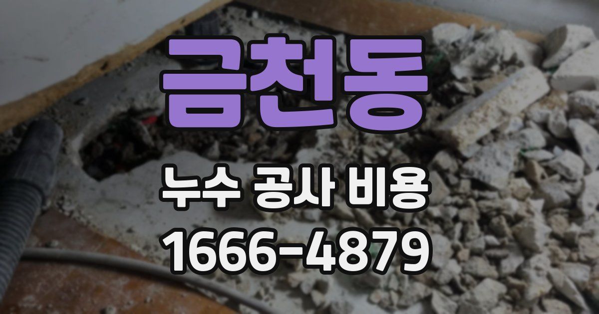 금천동 누수 공사 비용