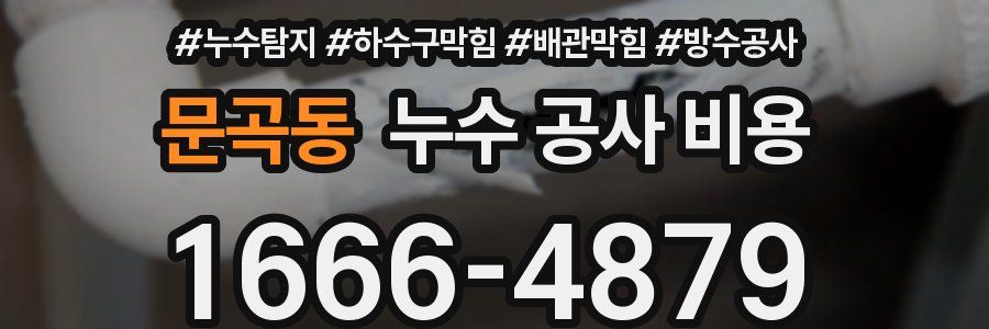 문곡동 누수 공사 비용