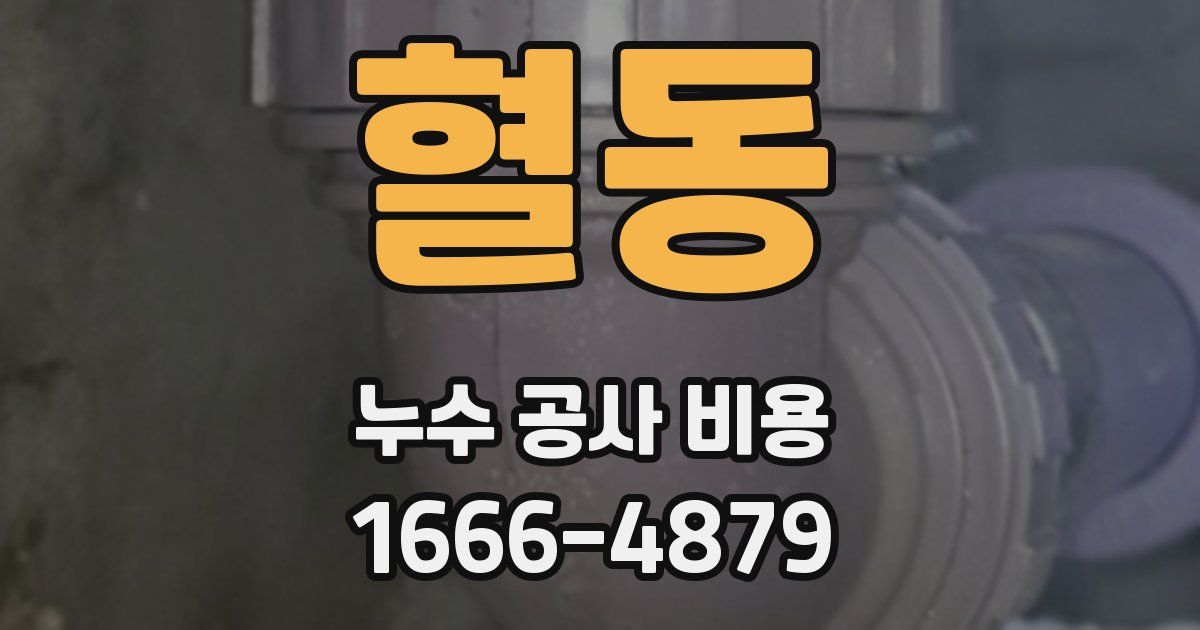 혈동 누수 공사 비용