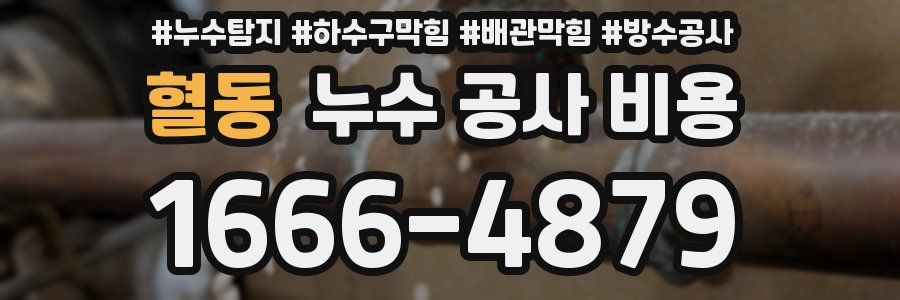혈동 누수 공사 비용