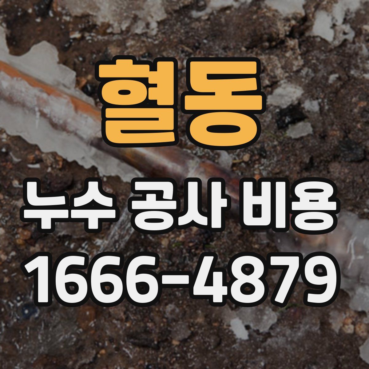 혈동 누수 공사 비용