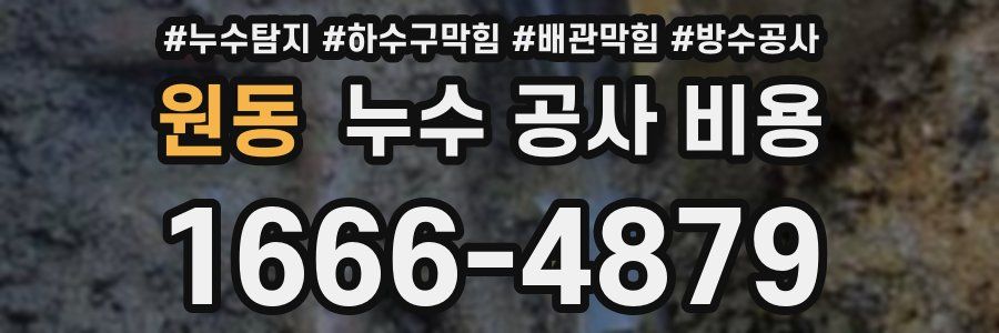 원동 누수 공사 비용