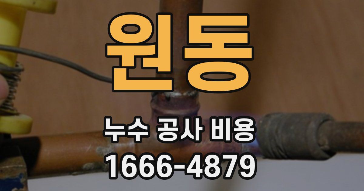 원동 누수 공사 비용