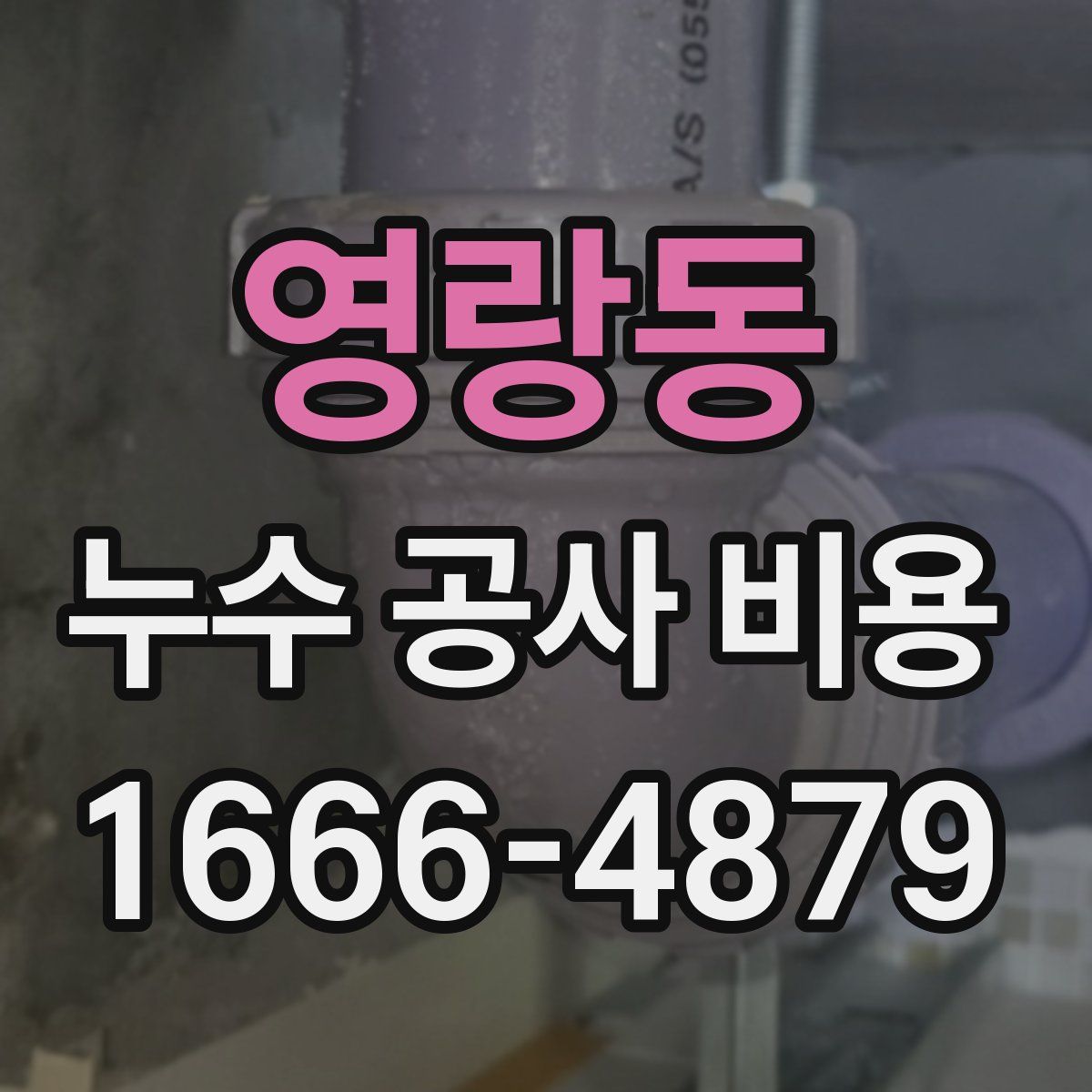 영랑동 누수 공사 비용