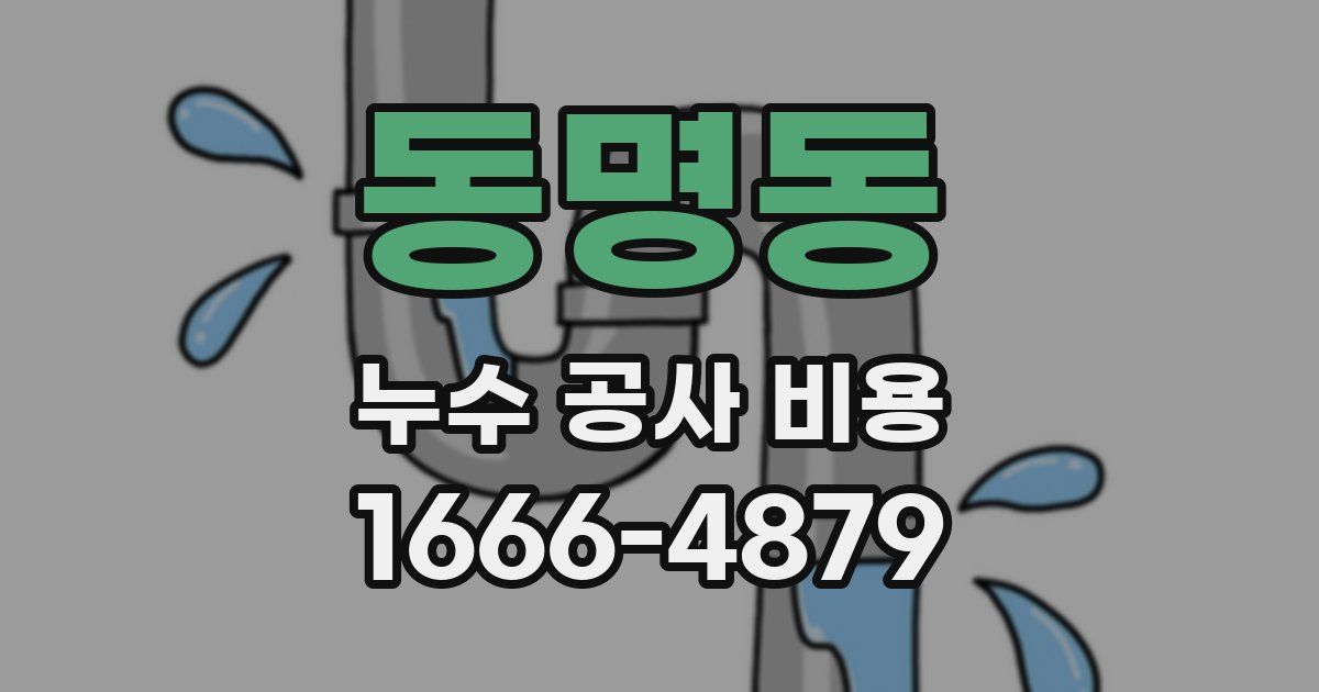 동명동 누수 공사 비용
