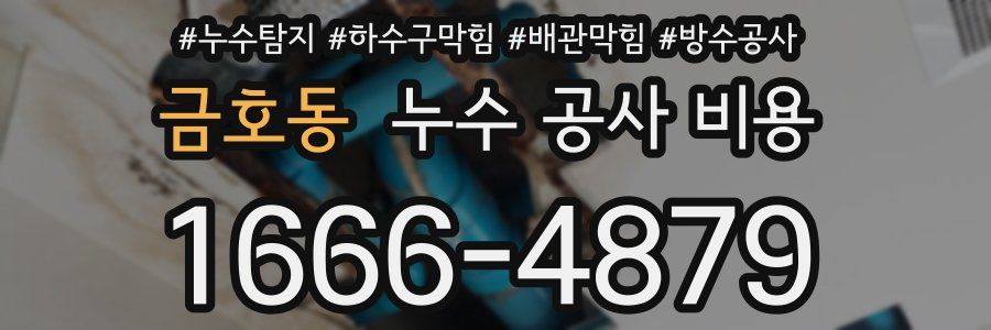 금호동 누수 공사 비용