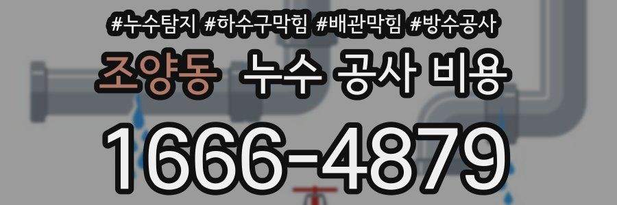 조양동 누수 공사 비용