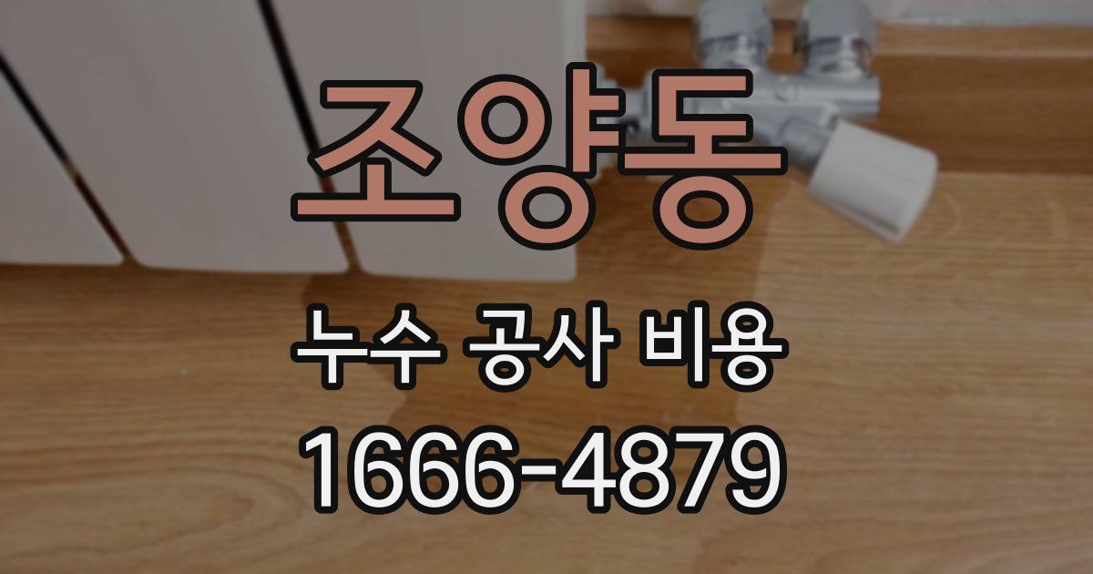 조양동 누수 공사 비용
