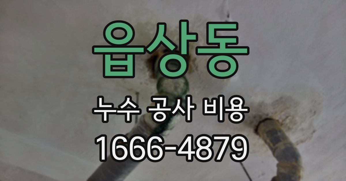읍상동 누수 공사 비용