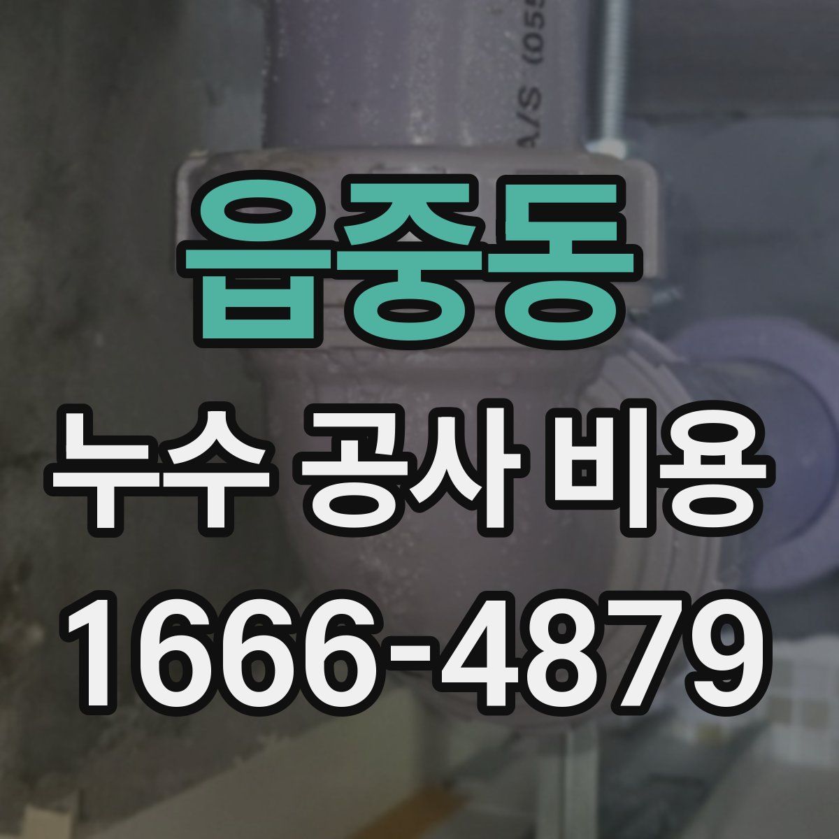 읍중동 누수 공사 비용