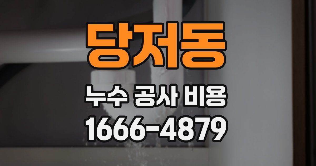 당저동 누수 공사 비용