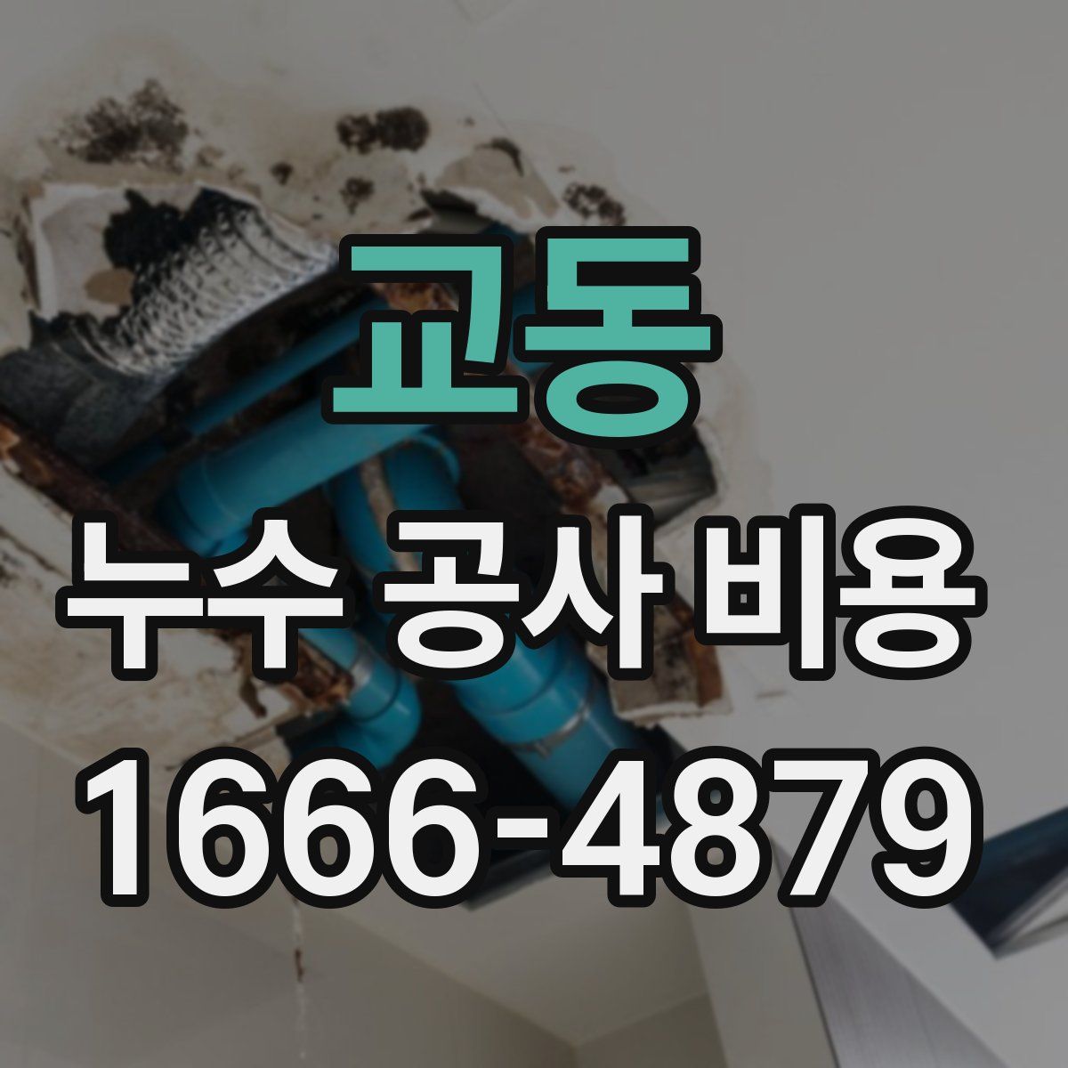 교동 누수 공사 비용
