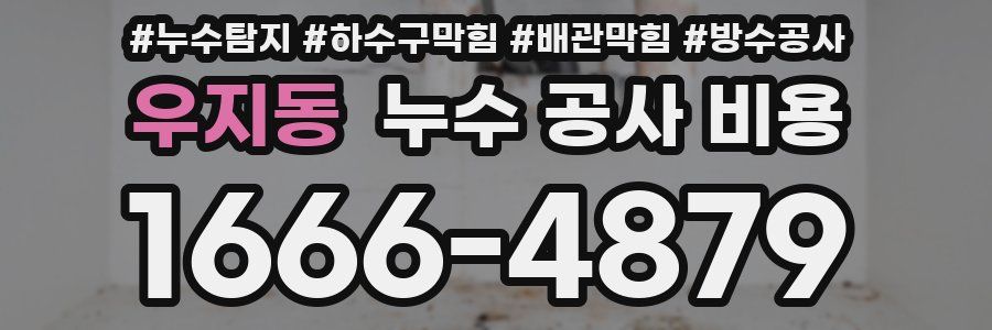 우지동 누수 공사 비용