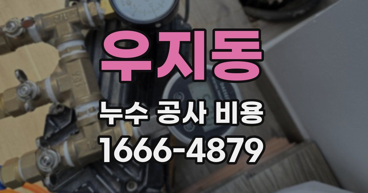 우지동 누수 공사 비용