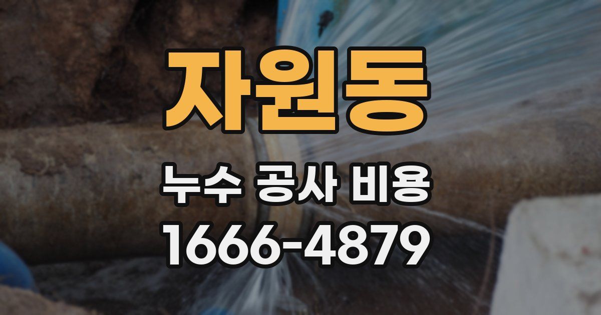 자원동 누수 공사 비용