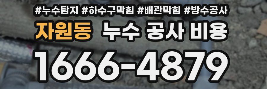자원동 누수 공사 비용