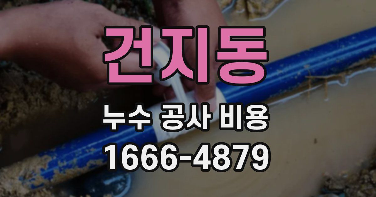 건지동 누수 공사 비용