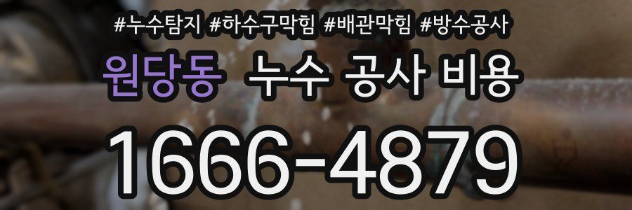 원당동 누수 공사 비용