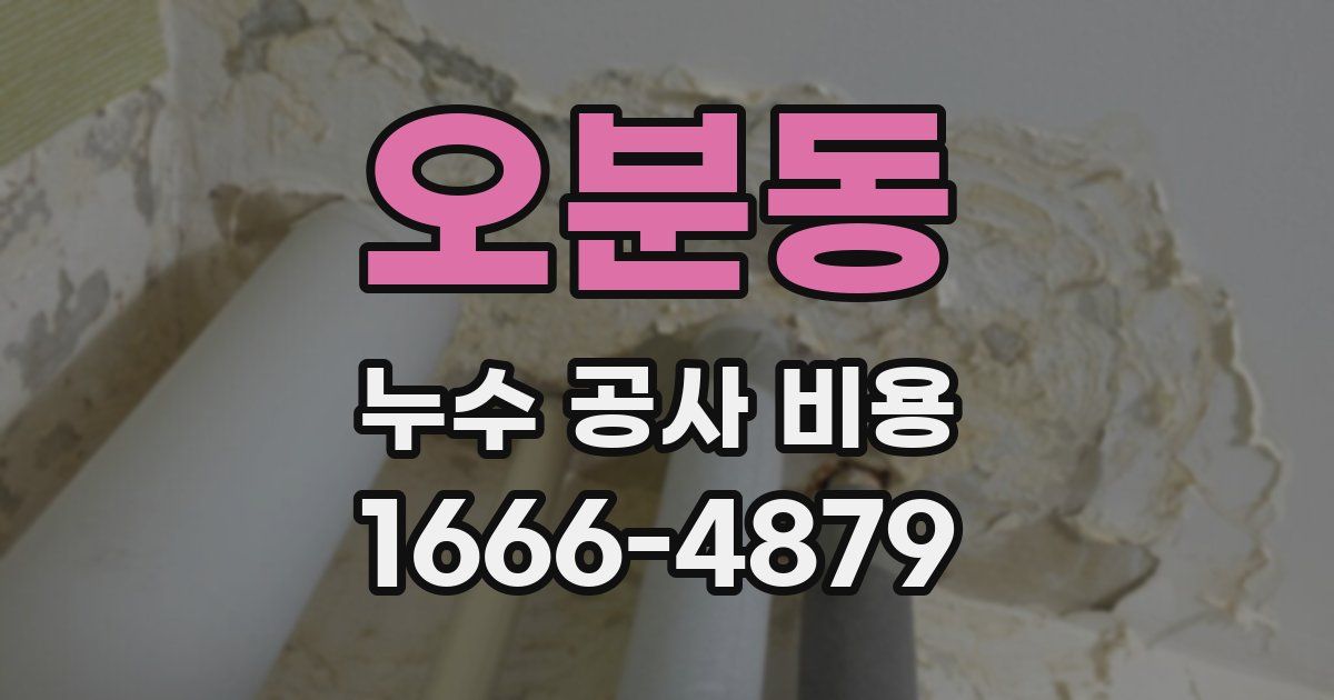 오분동 누수 공사 비용
