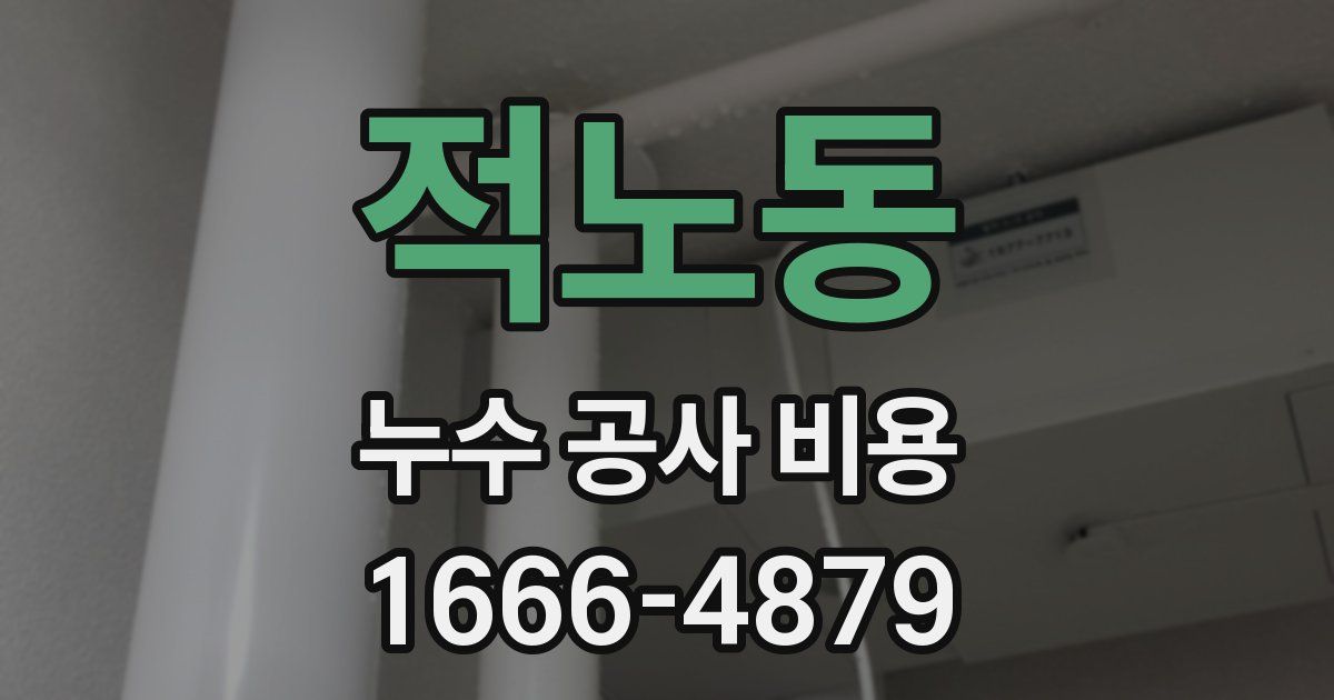 적노동 누수 공사 비용