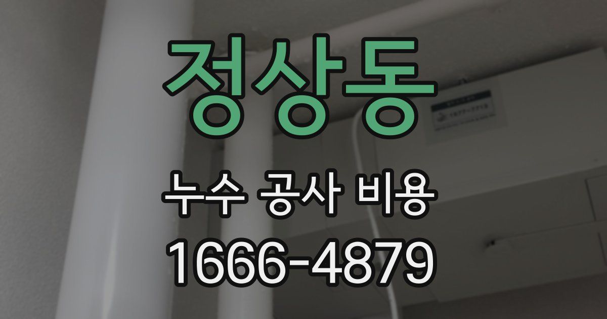 정상동 누수 공사 비용
