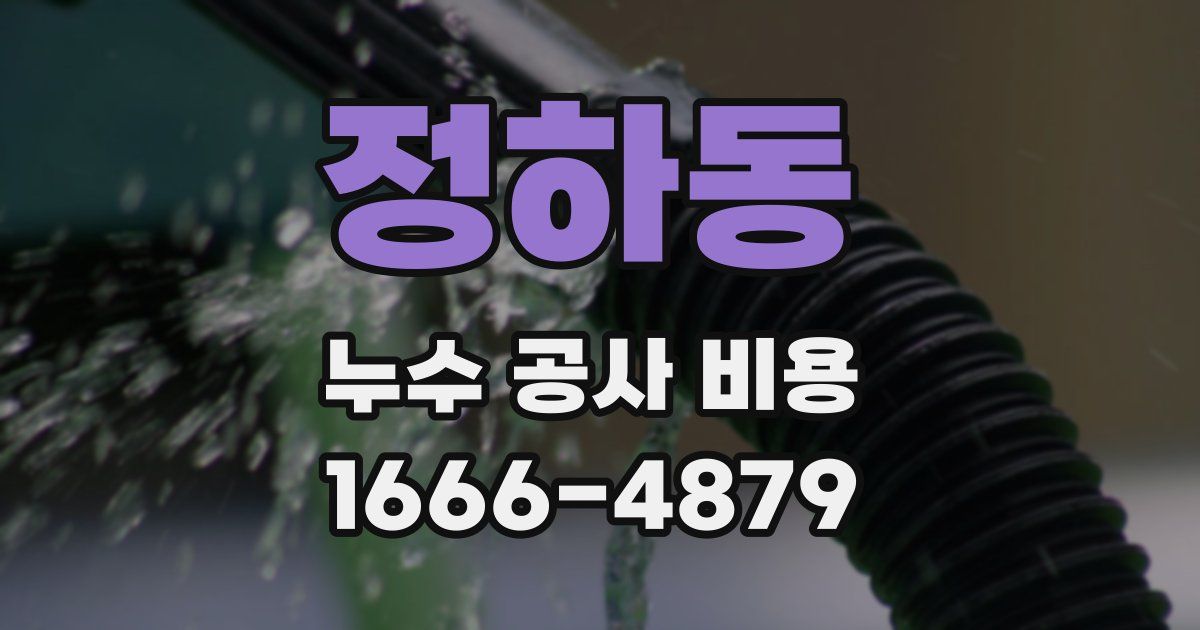 정하동 누수 공사 비용