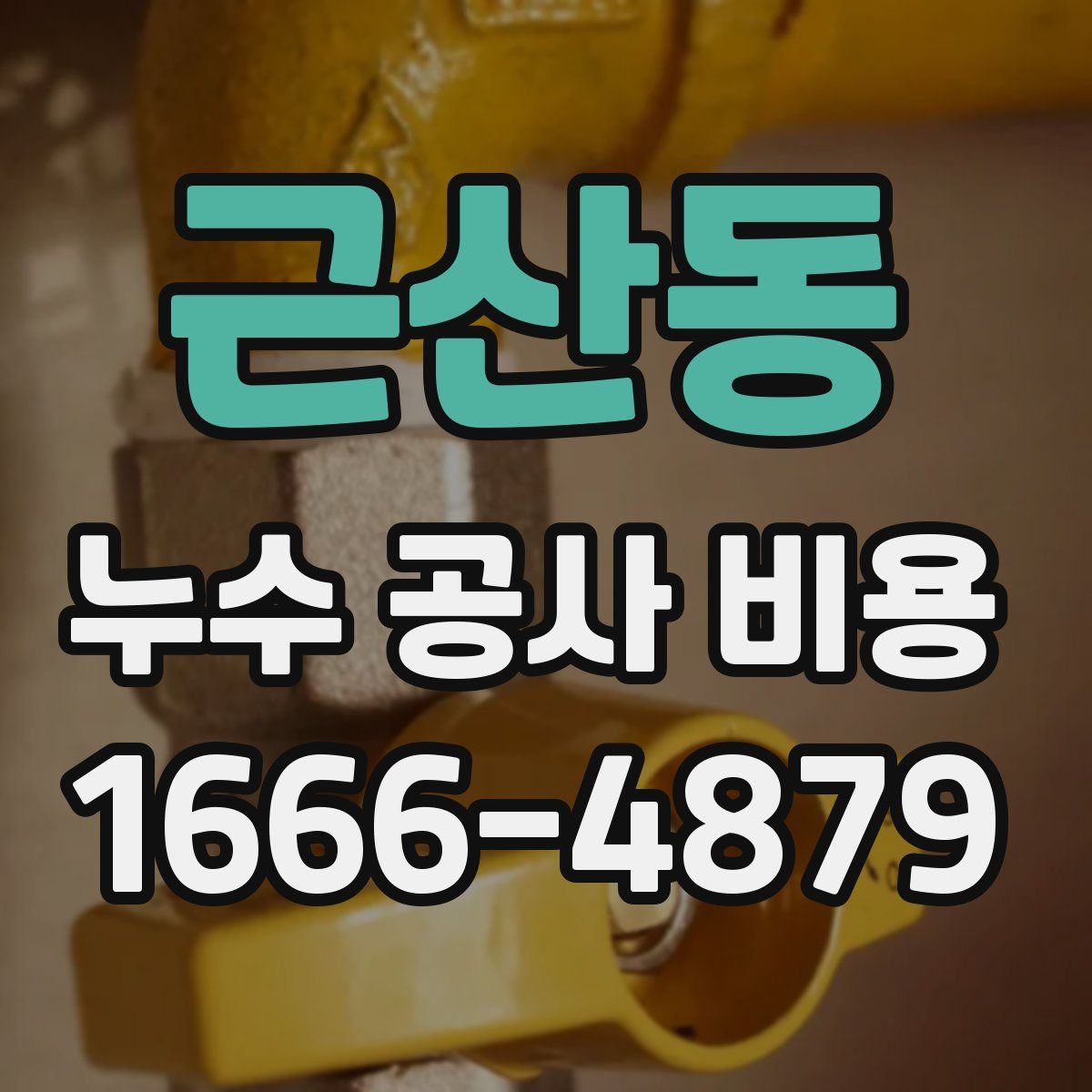 근산동 누수 공사 비용