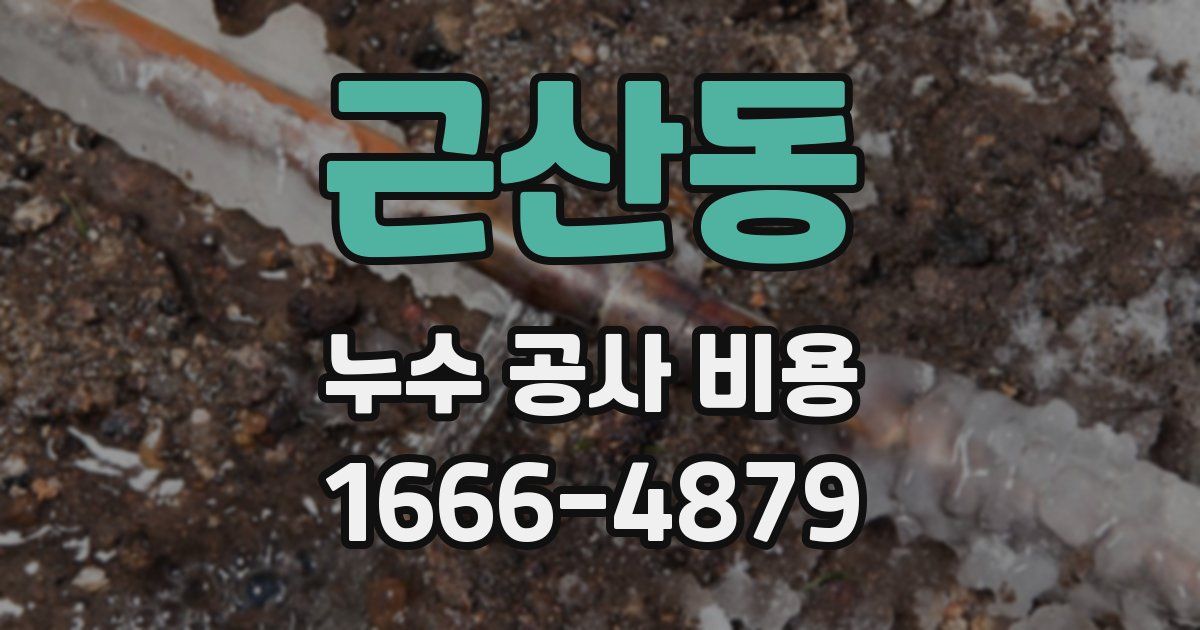 근산동 누수 공사 비용