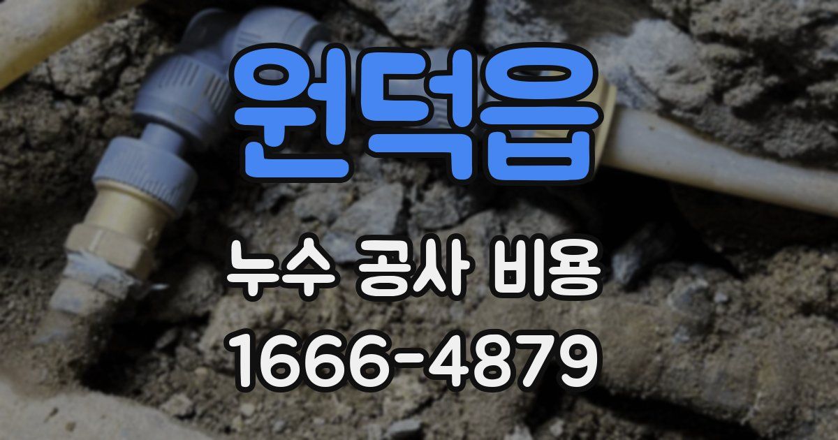원덕읍 누수 공사 비용