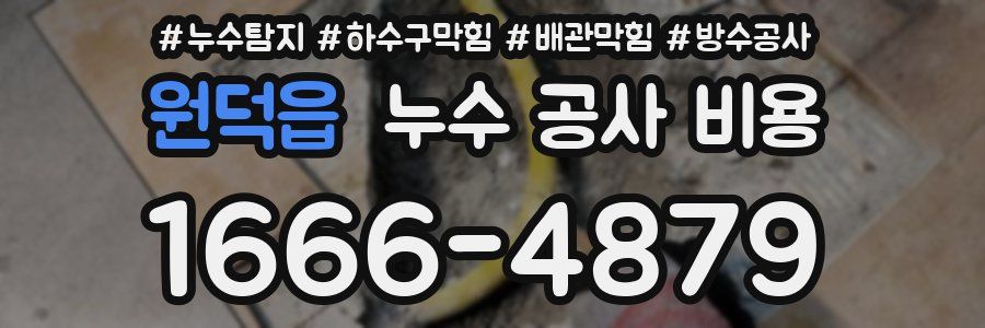 원덕읍 누수 공사 비용