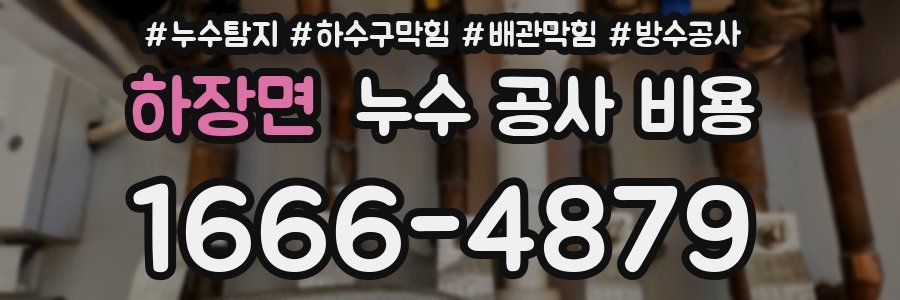 하장면 누수 공사 비용