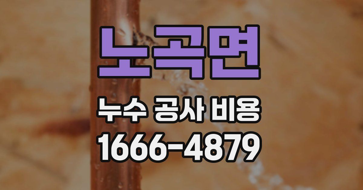노곡면 누수 공사 비용