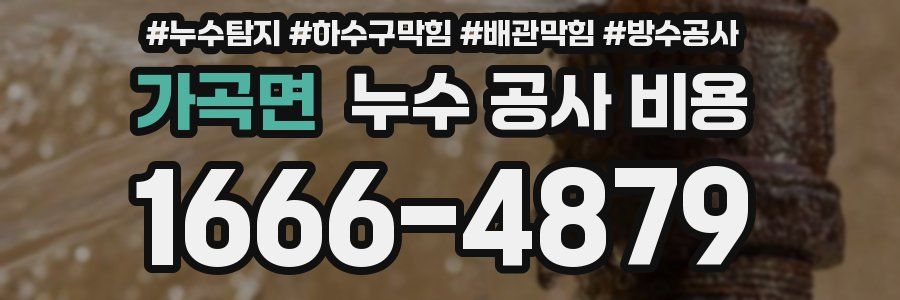 가곡면 누수 공사 비용