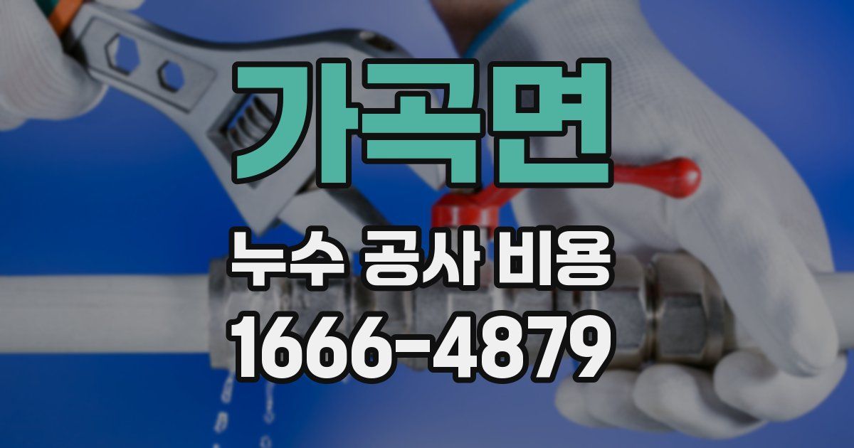 가곡면 누수 공사 비용