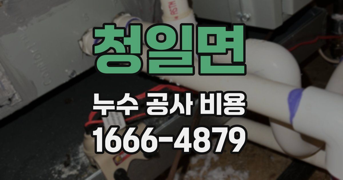 청일면 누수 공사 비용
