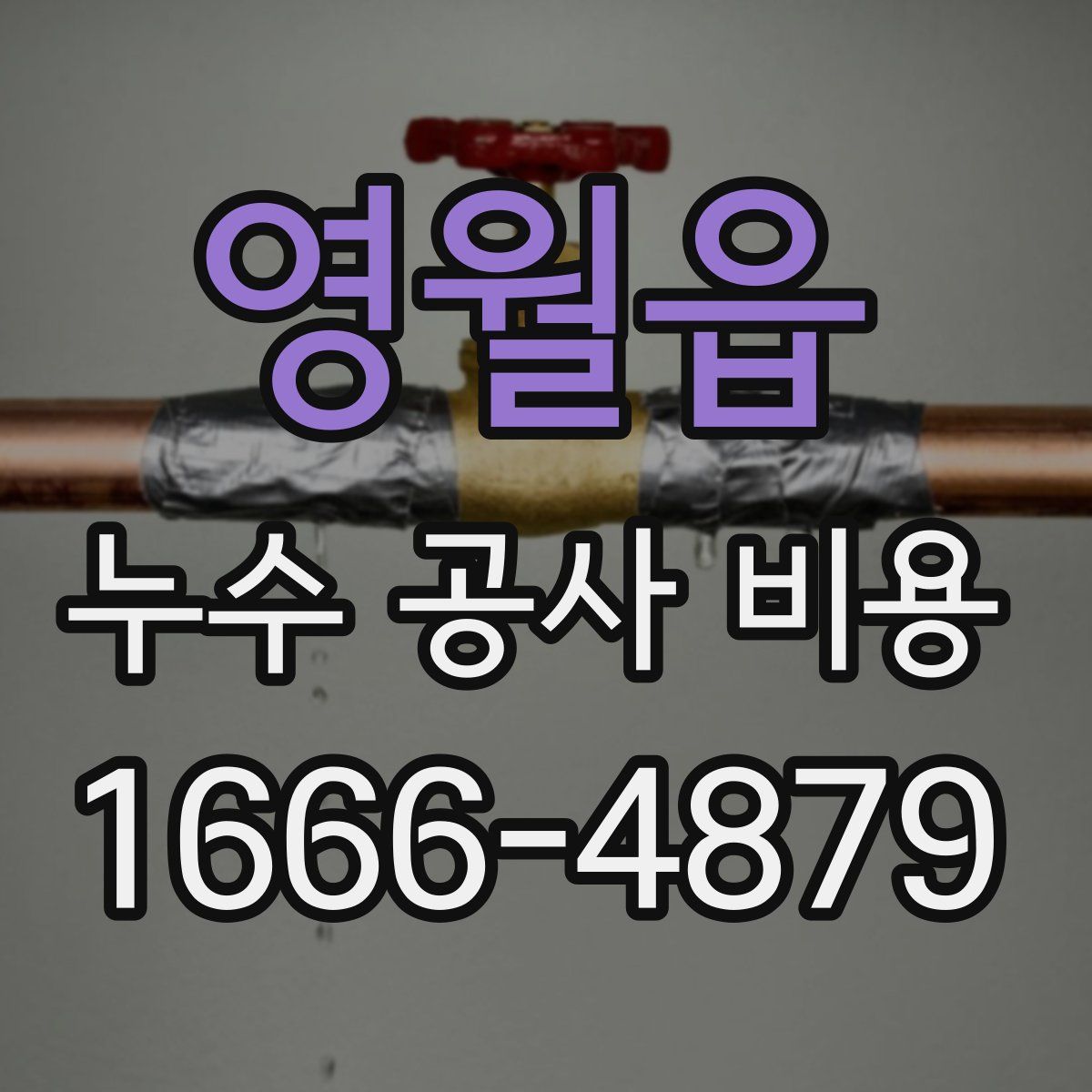 영월읍 누수 공사 비용