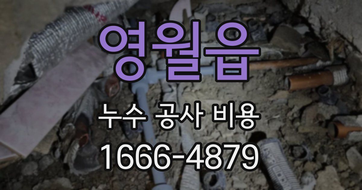 영월읍 누수 공사 비용