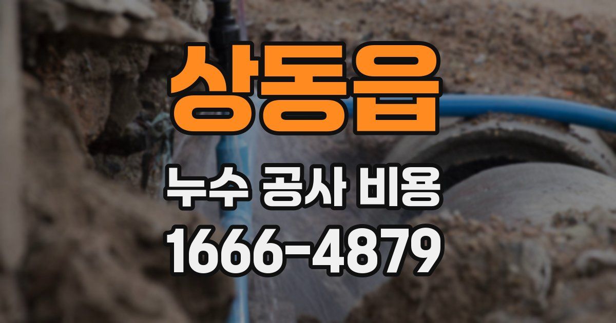 상동읍 누수 공사 비용